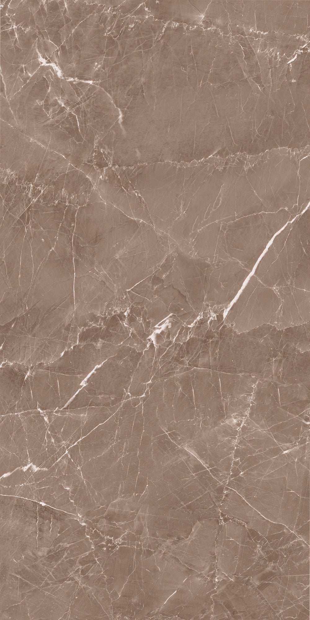 Decovita | FULL LAPPATO | Grigio Taupe 60x120 Vloertegel / Wandtegel