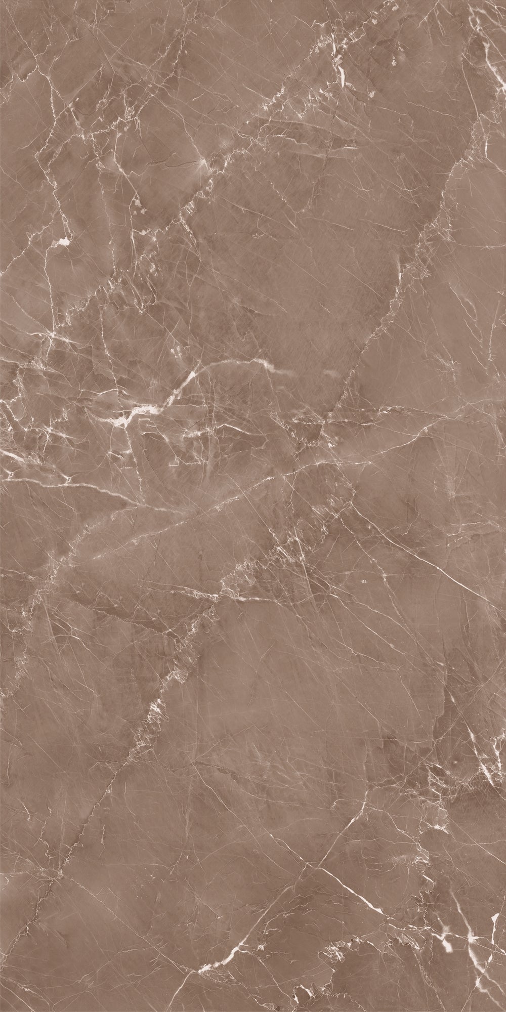 Decovita | FULL LAPPATO | Grigio Taupe 60x120 Vloertegel / Wandtegel