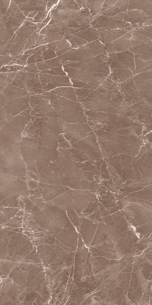 Decovita | FULL LAPPATO | Grigio Taupe 60x120 Vloertegel / Wandtegel