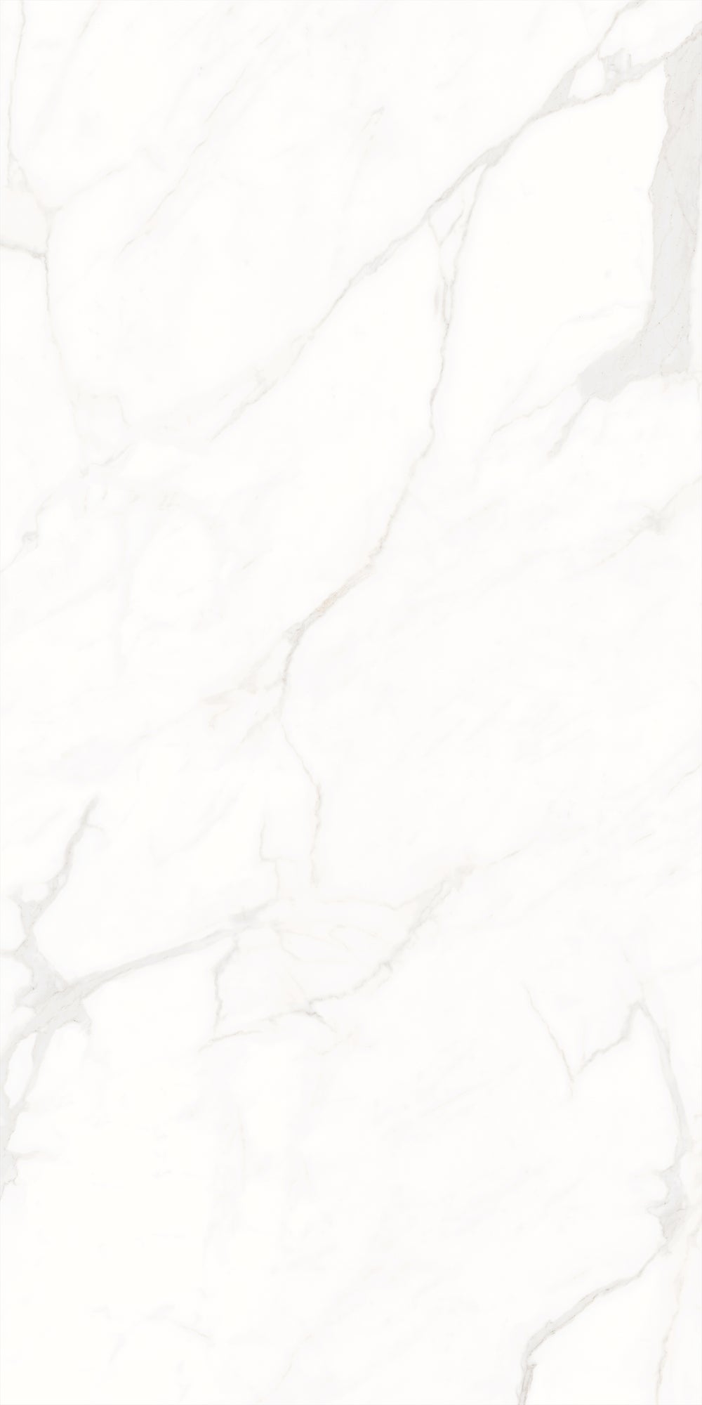 Decovita | FULL LAPPATO | Calacatta Suave 60x120 Vloertegel / Wandtegel