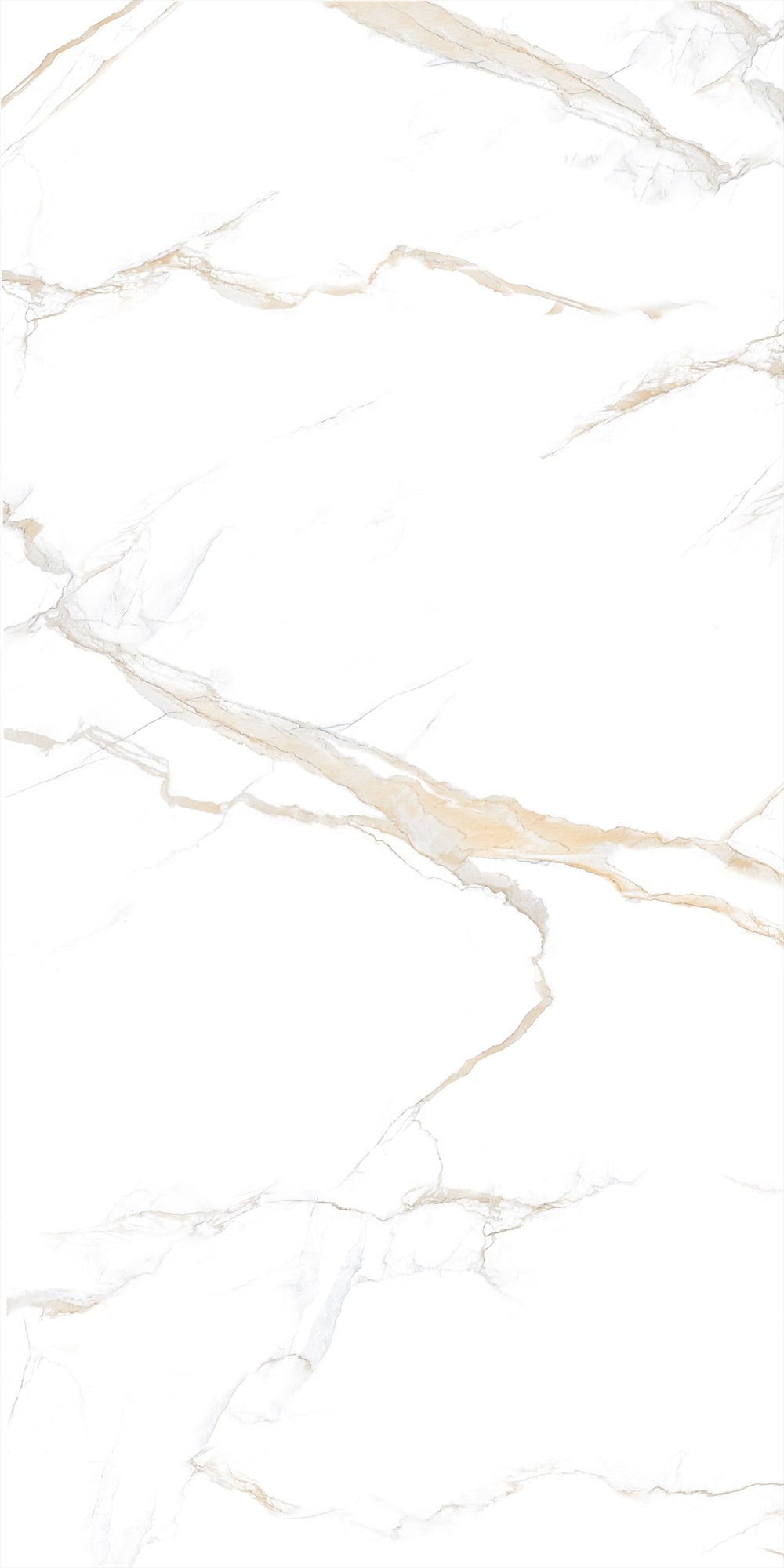 Decovita | FULL LAPPATO | Calacatta Gold 60x120 Vloertegel / Wandtegel
