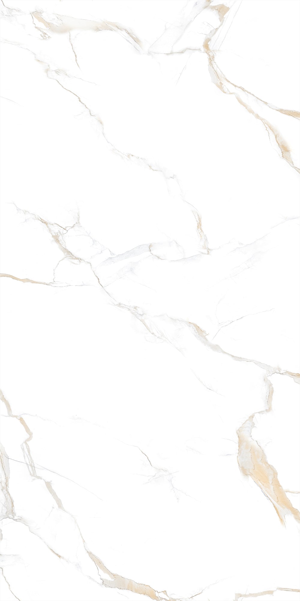 Decovita | FULL LAPPATO | Calacatta Gold 60x120 Vloertegel / Wandtegel
