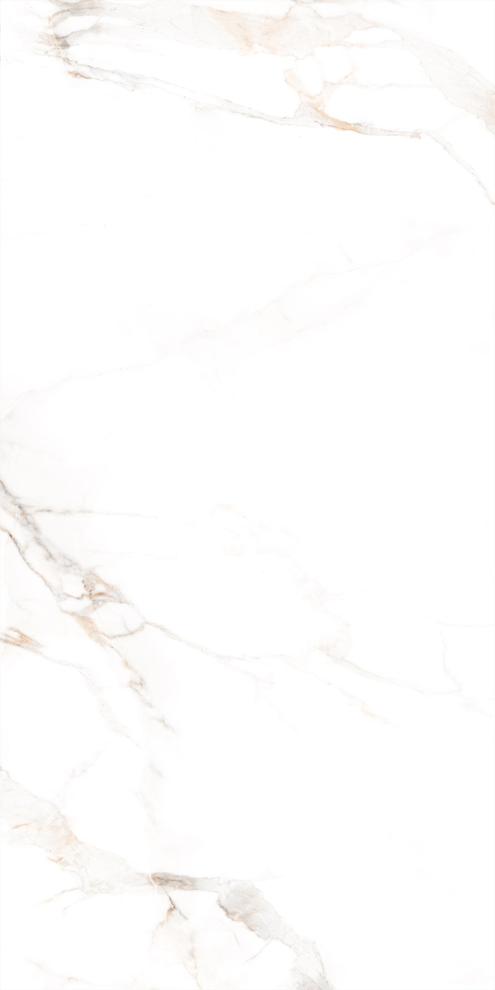 Decovita | FULL LAPPATO | Calacatta Oro 60x120 Vloertegel / Wandtegel