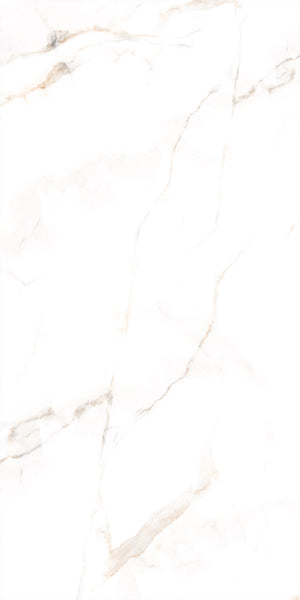 Decovita | FULL LAPPATO | Calacatta Oro 60x120 Vloertegel / Wandtegel