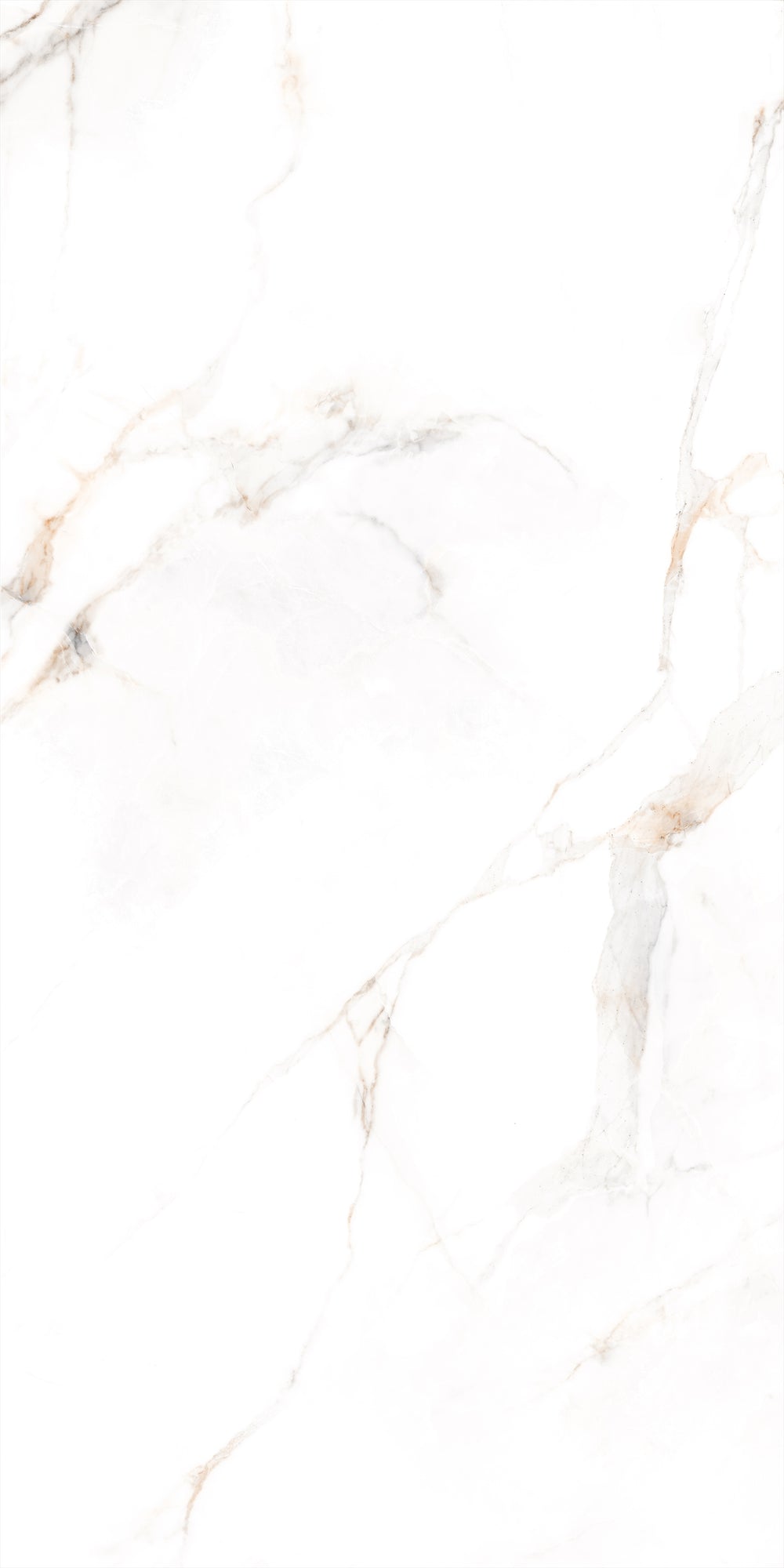 Decovita | FULL LAPPATO | Calacatta Oro 60x120 Vloertegel / Wandtegel