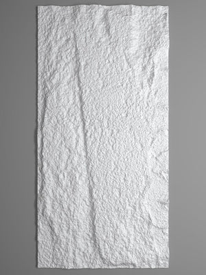 3D Rots wandpaneel | 60x120 cm | Wit