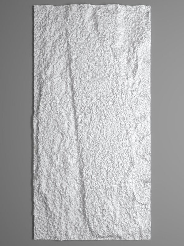 3D Rots wandpaneel | 60x120 cm | Wit