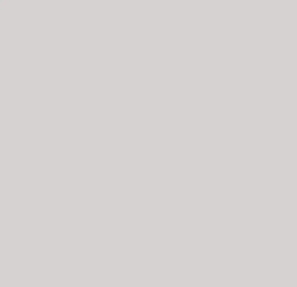 PVC wandpaneel | 120x280 cm | Effen Light Grey Mat