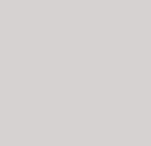 PVC wandpaneel | 120x280 cm | Effen Light Grey Mat