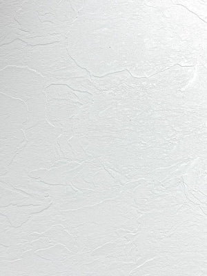 PVC wandpaneel | 120x280 cm | Effen Puur Wit Mat