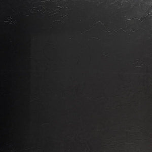 PVC wandpaneel | 120x280 cm | Effen Puur Zwart Mat