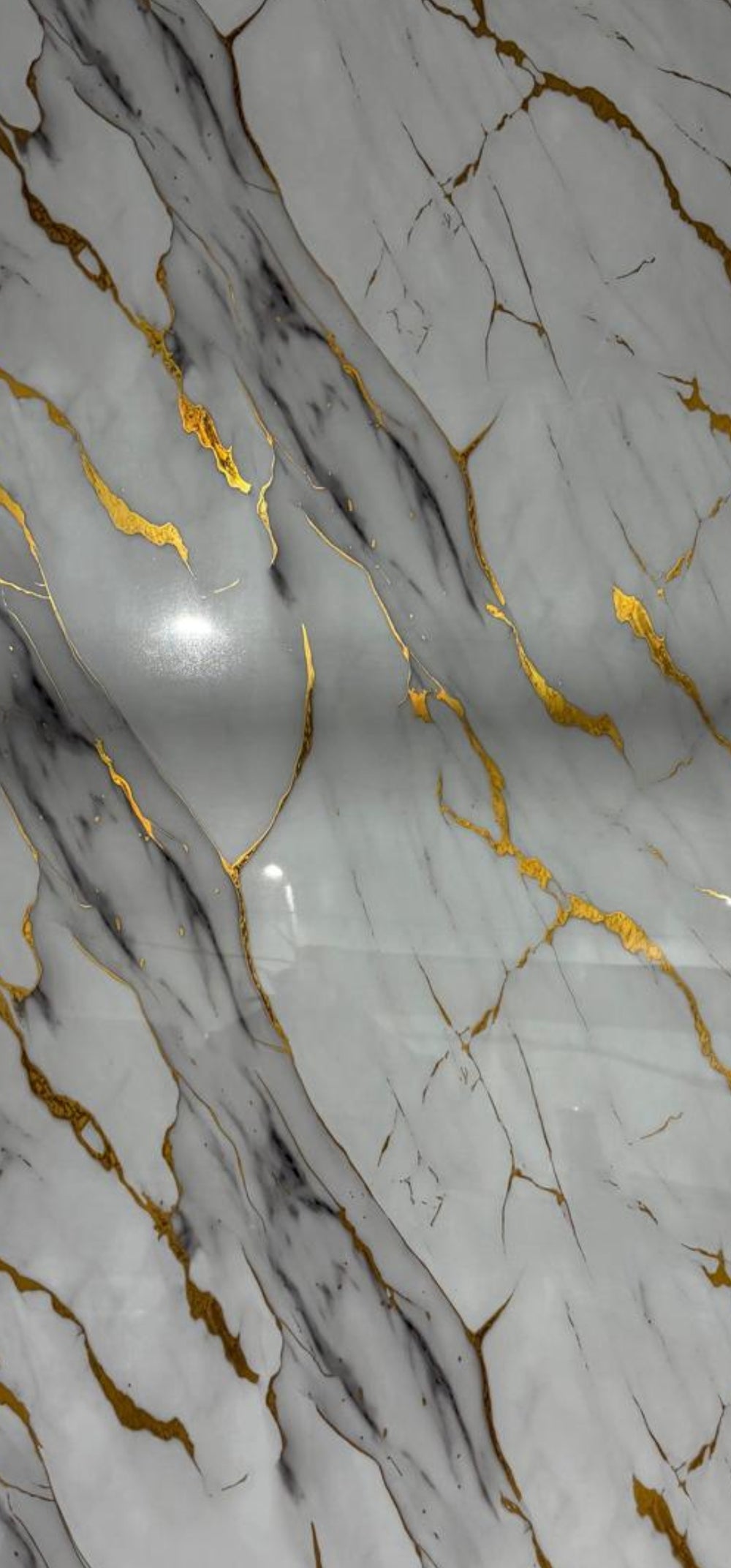 59€ pvc wandpanelen/122x280x3 cm/ROMA goldi glossy